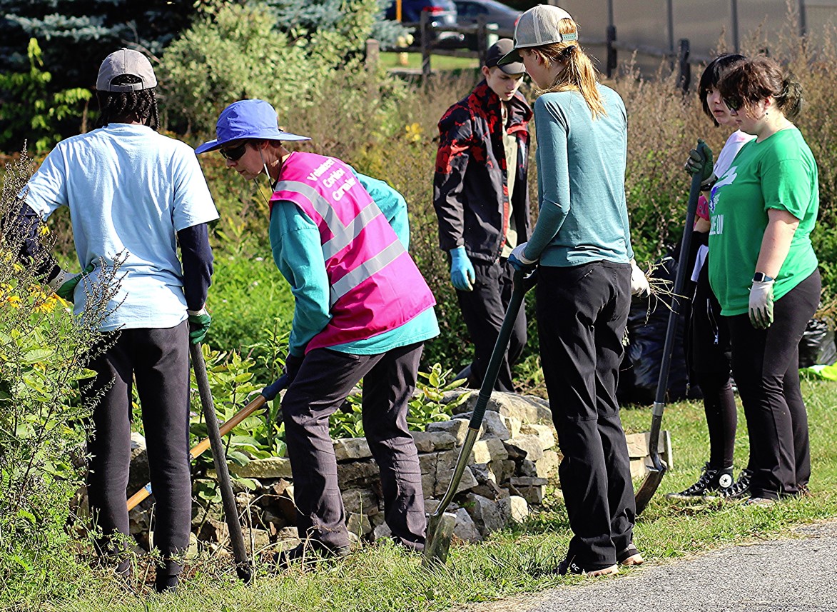 BMGCA | Pollinator Patches * Kanata North Regeneration Stewards (KN RegenS)